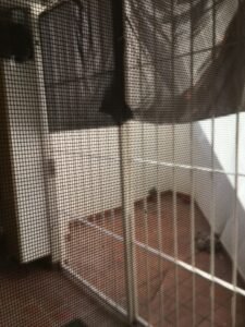 DEPARTAMENTO-9 DE JULIO 1880