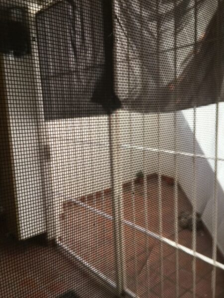 DEPARTAMENTO-9 DE JULIO 1880